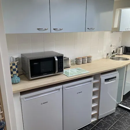 Zeemeeuw Aan Zee Feriehus Egmond aan Zee