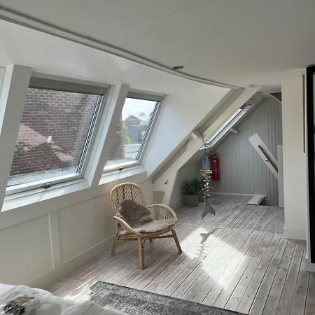 Zeemeeuw Aan Zee * Egmond aan Zee