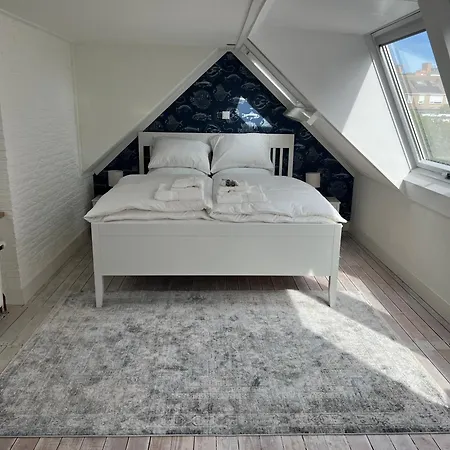 Zeemeeuw Aan Zee Casa vacanze Egmond aan Zee